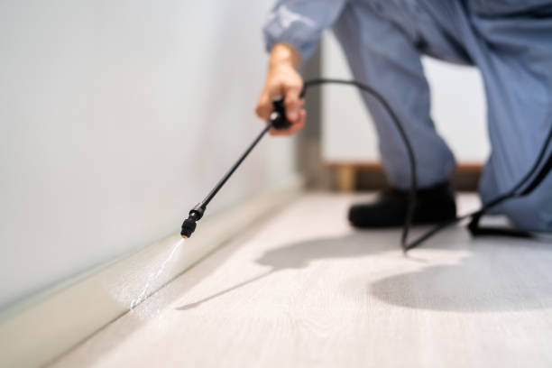 Rodent Entry Point Assessment in Fort Recovery