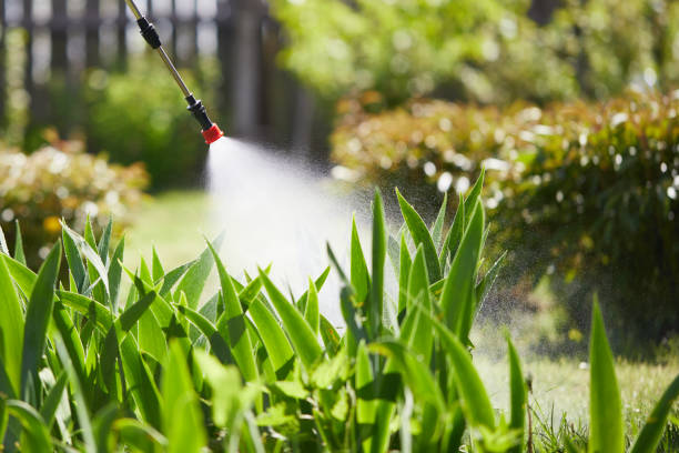 Tamper-Resistant Bait Stations for Rodents in Fort Recovery