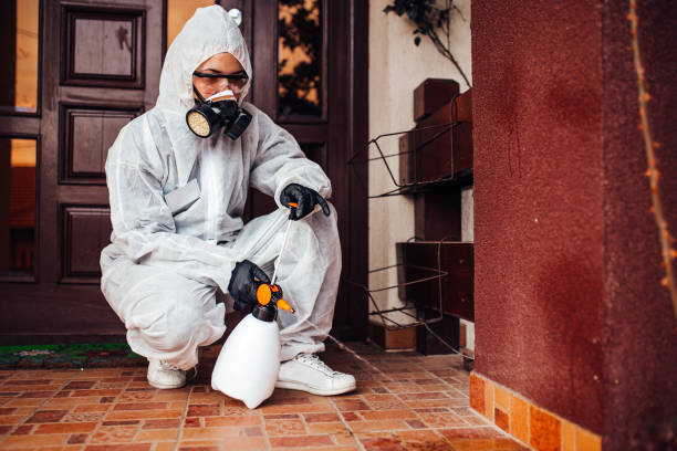 Attic and Crawl Space Rodent Treatment in Fort Recovery