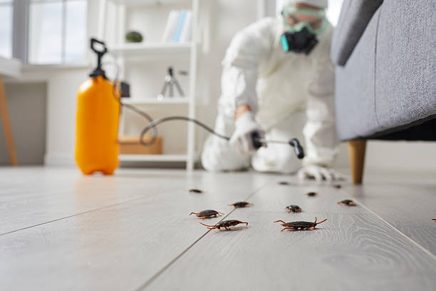 Commercial Rodent Management in Fort Recovery